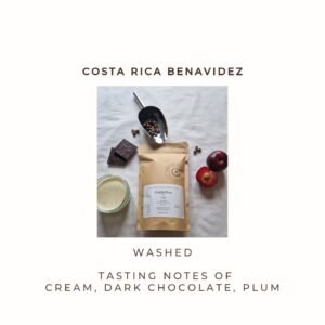 Costa Rica - Benavidez