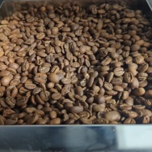 Honduras - Hacienda Montecristo