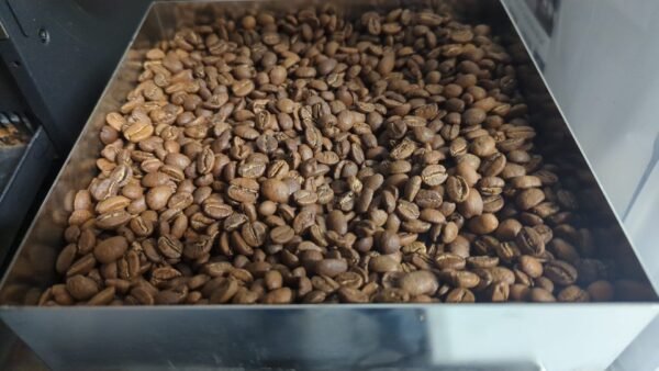 Honduras - Hacienda Montecristo