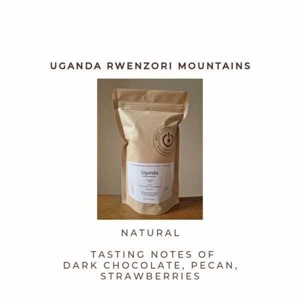 Uganda - Rwenzori Mountains