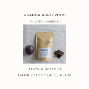 Uganda Agri Evolve